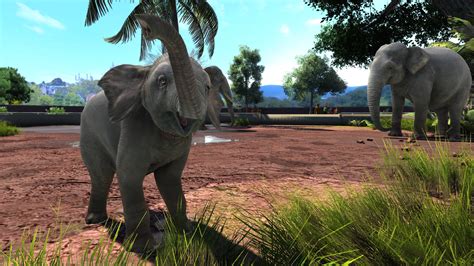  Zoo Tycoon: 재미있는 동물원 경영으로 꿈을 현실로!